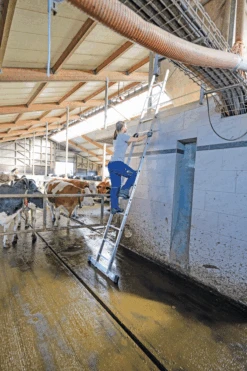 Sprossen-Anlegeleiter Mit Standard-Traverse - 12 Sprossen -Leiterwerkzeug Geschäft 10112 02