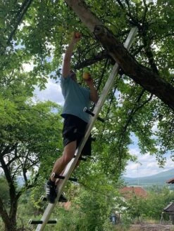 3x Sprossenteil "Tiroler Steigtanne" Als Set 15 3x Sprossenteil "Tiroler Steigtanne" Als Set -Leiterwerkzeug Geschäft 11 28129