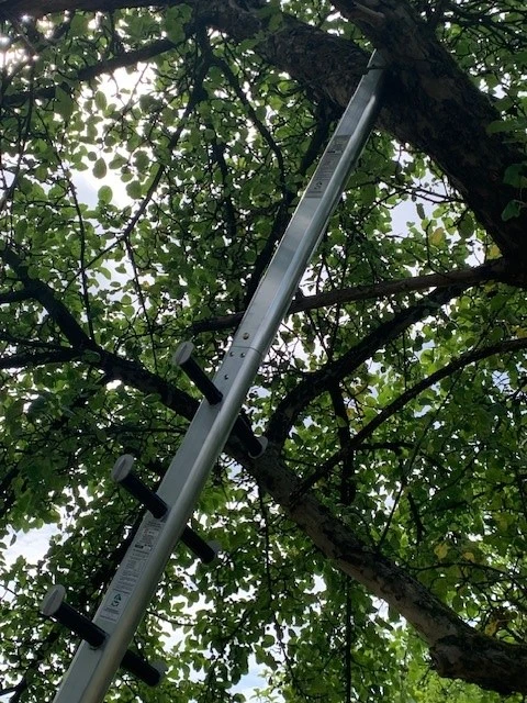 3x Sprossenteil "Tiroler Steigtanne" Als Set 4 3x Sprossenteil "Tiroler Steigtanne" Als Set – Bild 4