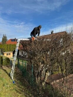 Aldorr Mehrzweckleiter Home 4x3 Sprossen -Leiterwerkzeug Geschäft 1 28329