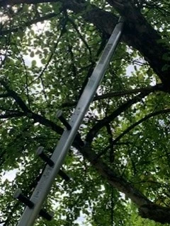 3x Sprossenteil "Tiroler Steigtanne" Als Set 7 3x Sprossenteil "Tiroler Steigtanne" Als Set – Bild 7