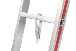 Obstbaumleiter,12 Sprossen -Leiterwerkzeug Geschäft detail18173