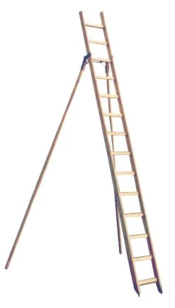 Gartenleiter, 10 Sprossen, 2,98m Lang