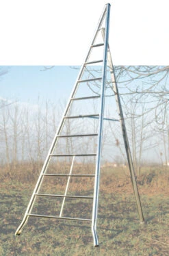 Obstbaumleiter "Agri" S600 - 4 Sprossen -Leiterwerkzeug Geschäft obstbaumleiter agri s6006bcb2