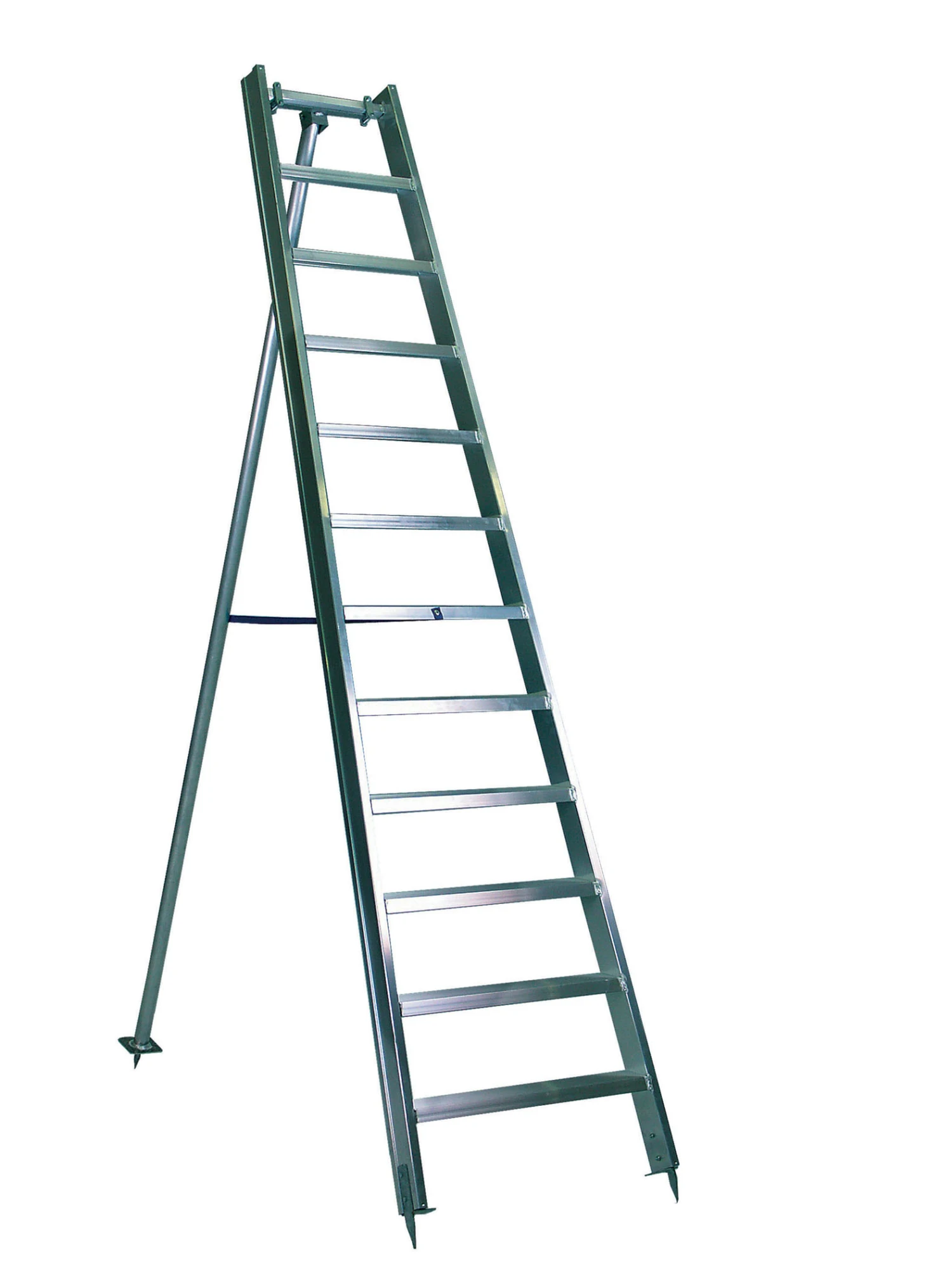 Ernst Obstbaumleiter 1 Ernst Obstbaumleiter