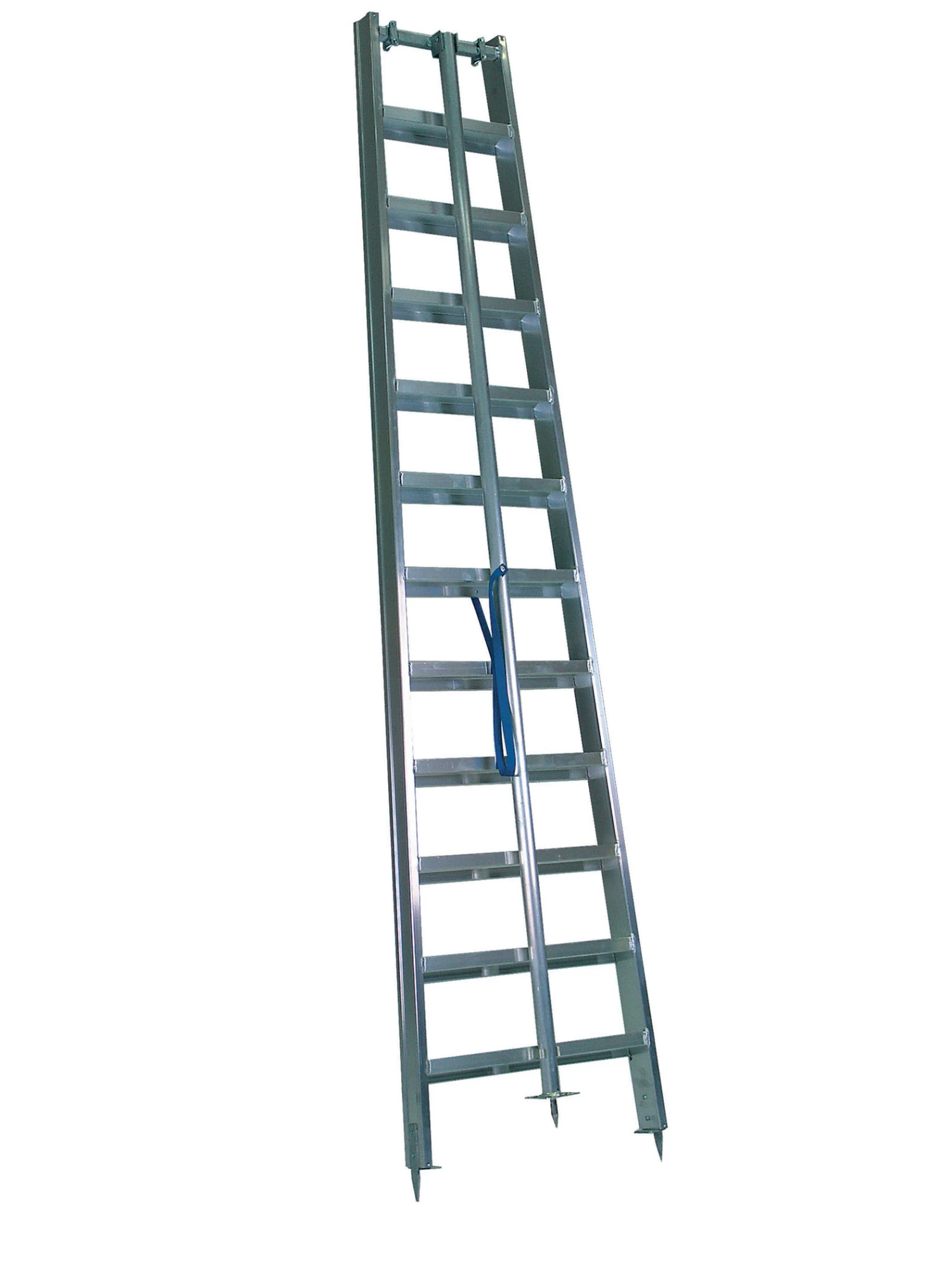 Ernst Obstbaumleiter 2 Ernst Obstbaumleiter – Bild 2