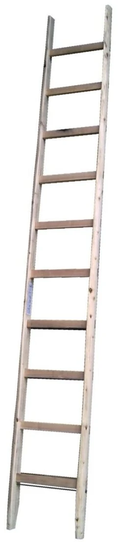 Sprossenanlegeleiter, 8 Sprossen, 2,44m Lang